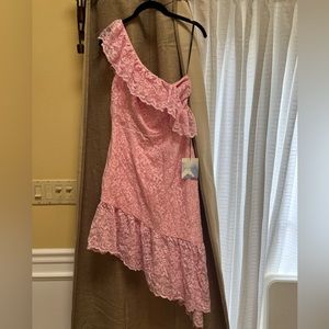 NEW with tags Floral Lace Pink Dress